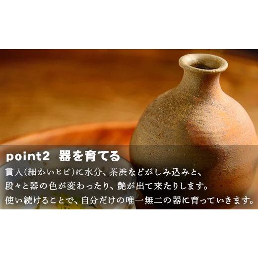 ふるさと納税 陶磁器・漆器・ガラス 佐賀県 唐津市 唐津焼 鏡山窯 井上公之作 カップ 斑唐津 焼酎 酒器 フリーカップ_4