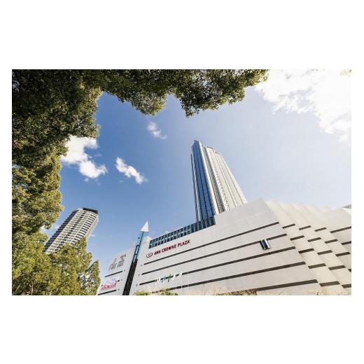 お買い得！ ふるさと納税 兵庫県 神戸市 人間ドック＆神戸ナイトパック（「ANAクラウンプラザホテル神戸」ご宿泊付き） 【LW3123048320】(110000円)