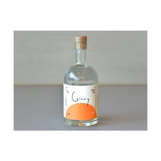 ふるさと納税 福岡県 大牟田市 【B26-01】永野酒店　GINNY（ジニー）セット 食品 ドリンク、水、お酒 リキュール B1309517586(13000円)