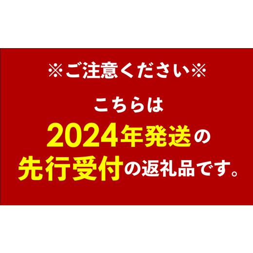 ふるさと納税 沖縄県 八重瀬町 【先行受付】【2024年発送・家庭用】ミナミマンゴーハウスの完熟マンゴー約1.5kg｜furusatochoice｜03