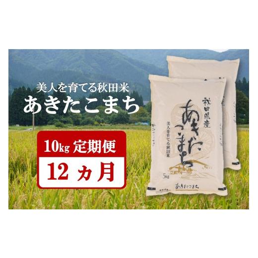 ブランド ふるさと納税 秋田県 湯沢市 【令和5年産米】美人を育てる秋田米「あきたこまち」10kg　12ヶ月定期便[F2403] 【KU3211628158】(113120円)