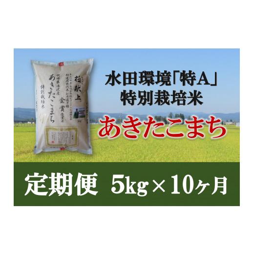 ふるさと納税 秋田県 湯沢市 特別栽培米あきたこまち精米5kg定期便(10ヶ月)[F2104] 食品 米、雑穀、粉類 米、ごはん
