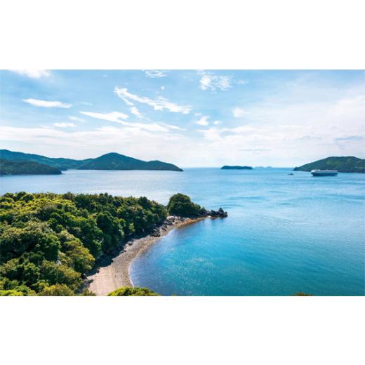 【最安値挑戦中】 ふるさと納税 山口県 下松市 No.092 国民宿舎大城　宿泊補助券 ／ ホテル 温泉 露天風呂 笠戸島 オーシャンビュー チケット 山口県 【9142006596】(32200円)