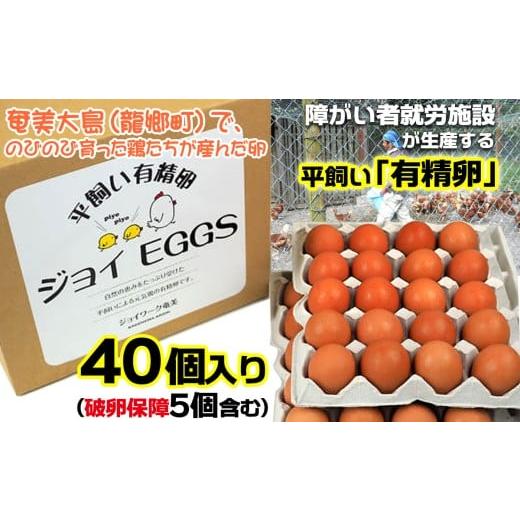 ふるさと納税 卵(鶏、烏骨鶏等) 鹿児島県 龍郷町 奄美大島の平飼い有精卵 40個入り 鹿児島県 奄美群島 奄美大島 龍郷町 国産 奄美産 たまご 卵 エッグ 有精…