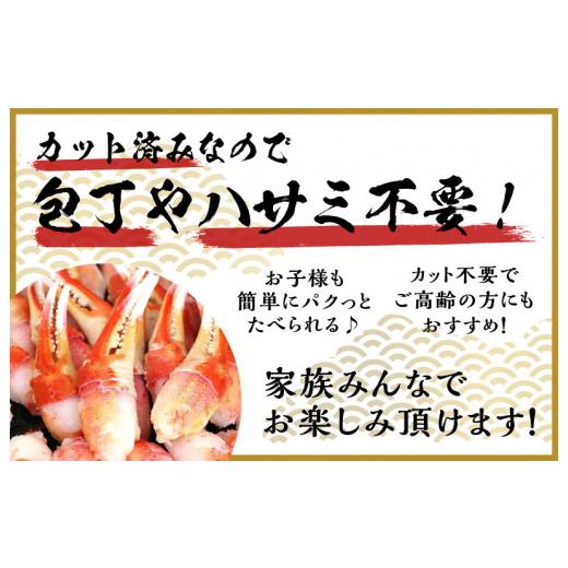 ふるさと納税 カニ ずわいガニ 大阪府 泉佐野市 本ずわいがに 爪肉 約500g 加熱用の画像