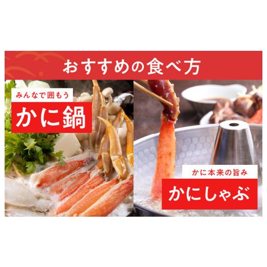 ふるさと納税 カニ ずわいガニ 大阪府 泉佐野市 本ずわいがに 爪肉 約500g 加熱用の画像