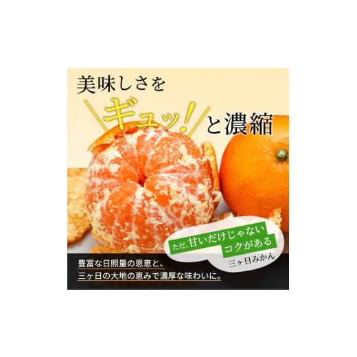 ふるさと納税 静岡県 浜松市 【2025年1月中旬頃より順次発送】三ヶ日みかん 青島 7kg以上【配送不可：離島】 [No.5786-4103]｜furusatochoice｜05