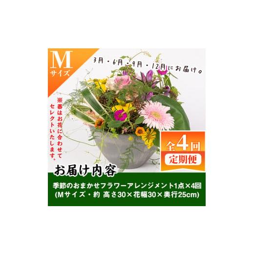 ふるさと納税 鹿児島県 伊佐市 isa282 【定期便4回】ふるさと納税 伊佐市 特産品 インテリア ギフト 誕生日 プレゼント 花 お誕生日 お祝い 退職祝い お見舞い…｜furusatochoice｜05