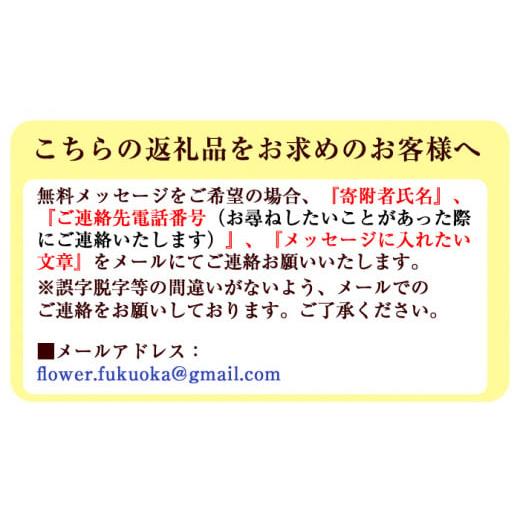 ふるさと納税 鹿児島県 伊佐市 isa282 【定期便4回】ふるさと納税 伊佐市 特産品 インテリア ギフト 誕生日 プレゼント 花 お誕生日 お祝い 退職祝い お見舞い…｜furusatochoice｜07