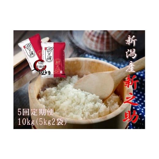 ふるさと納税 米 新潟県 阿賀野市 令和7年産 5回定期便 阿賀野市産「新之助」10kg(5kg×2袋) 安田興和農事 白米 精米 1W04143