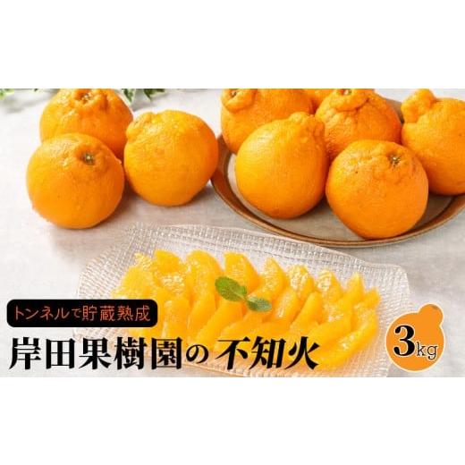 ふるさと納税 みかん・柑橘類 デコポン 大分県 国東市 先行予約 トンネルで貯蔵熟成/岸田果樹園の不知火 約3kg 令和8年2月下旬より出荷開始 _1439R