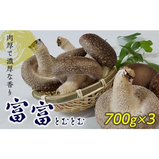 ふるさと納税 野菜類 きのこ 群馬県 下仁田町 肉厚で濃厚な香りの椎茸「富富」(とむとむ) きのこ キノコ 旨みたっぷり ワンランク上 F21K-169