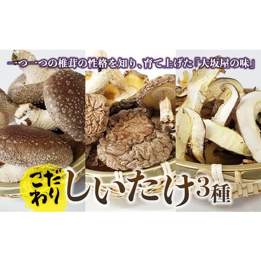 ふるさと納税 野菜類 きのこ 群馬県 下仁田町 こだわりしいたけ3種セット F21K-174