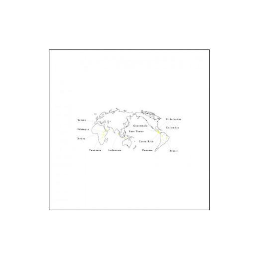 ふるさと納税 岐阜県 大垣市 【6カ月定期便】『TASTORY COFFEE AND ROASTER』自家焙煎スペシャルティコーヒー豆　中煎り〜中深煎りコース・豆(1回200g×2袋/全… 大垣市 AND ふるさと納税 COFFEE ROASTER』自家焙煎スペシャルティコーヒー豆　中煎り〜中深煎りコース・豆(1回200g×2袋/全… 【6カ月定期便】『TASTORY 岐阜県