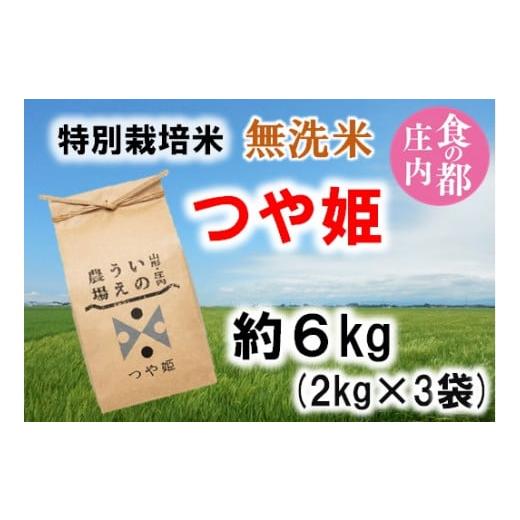 ふるさと納税 無洗米 山形県 三川町 食の都庄内 令和7年産・無洗米(精米) 特別栽培米つや姫6kg[井上農場] 令和7年産