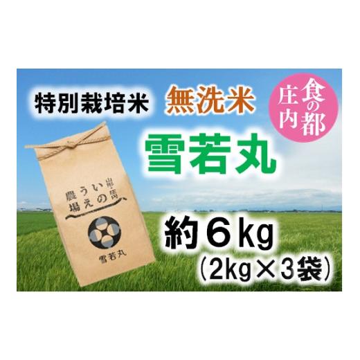 ふるさと納税 無洗米 山形県 三川町 食の都庄内 令和7年産・無洗米(精米) 特別栽培米雪若丸6kg[井上農場] 令和7年産