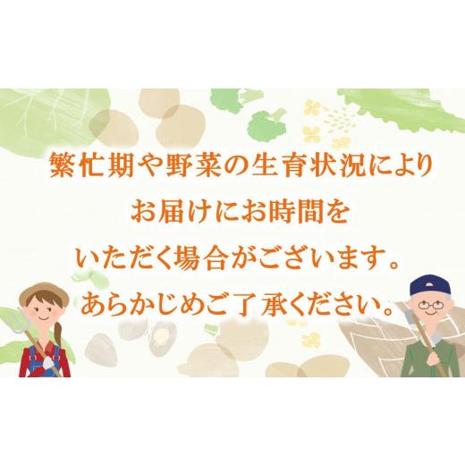 ふるさと納税 佐賀県 神埼市 年間定期便48回 イタリア野菜セットレギュラー 10品 【有機野菜 おまかせ野菜セット イタリア野菜 西洋野菜 定期便】(H078151)｜furusatochoice｜05