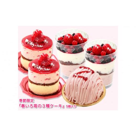 ふるさと納税 ケーキ・カステラ 北海道 新ひだか町 3月中旬から発送 季節限定 苺の3種ケーキ 北海道・新ひだか町のオリジナルスイーツ 予約商品 春限定 苺 …