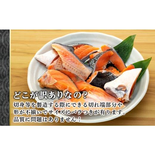 ふるさと納税 千葉県 南房総市 数量限定天然紅鮭 切身1kg（アメリカ産