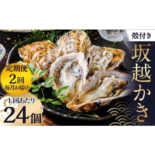 ふるさと納税 牡蠣 生牡蠣 兵庫県 赤穂市 2回定期便 牡蠣 坂越かき 殻付き牡蠣 24個 カキ かき 海の幸 魚介 貝 2026年3月上旬〜4月下旬発送予定