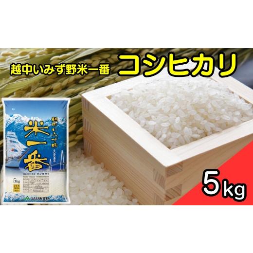 食品 関東、東海、信越、関西地方限定 令和7年富山県産コシヒカリ