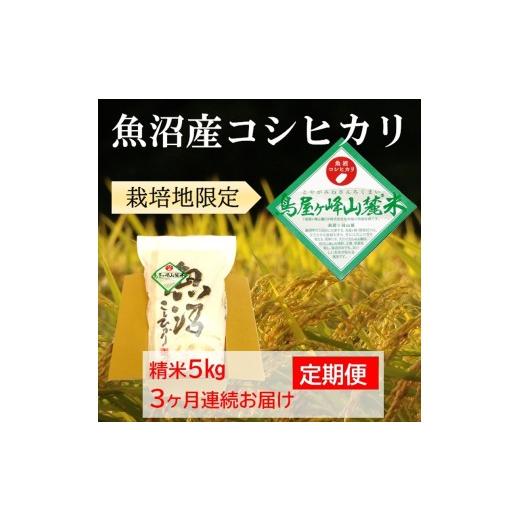 ふるさと納税 米 コシヒカリ 新潟県 魚沼市   魚沼コシヒカリ 鳥屋ヶ峰山麓米(精米)5kg 3ヶ月連続お届け