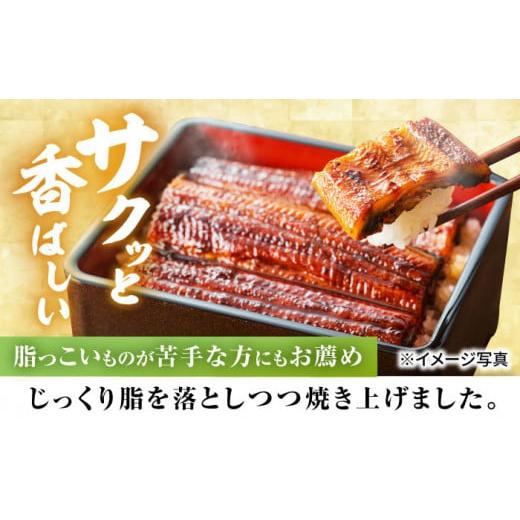 ふるさと納税 ウナギ 佐賀県 嬉野市  6回定期便 手焼き 炭火焼き ウナギ 蒲焼 (2尾・タレ付き添い人) 中野鮮魚店 NAI008 ウナギ 鰻 鰻 炭火 蒲焼き かばやき 九…
