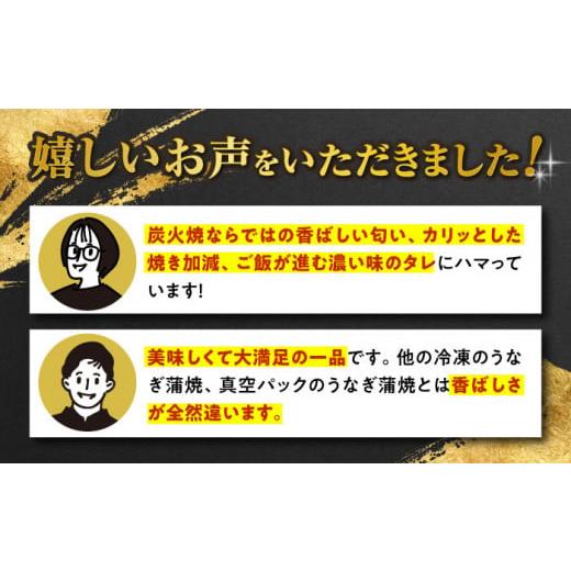 ふるさと納税 ウナギ 佐賀県 嬉野市  6回定期便 手焼き 炭火焼き ウナギ 蒲焼 (2尾・タレ付き添い人) 中野鮮魚店 NAI008 ウナギ 鰻 鰻 炭火 蒲焼き かばやき 九…