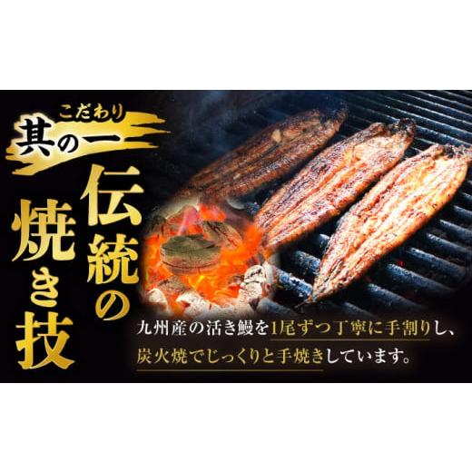 ふるさと納税 ウナギ 佐賀県 嬉野市  6回定期便 手焼き 炭火焼き ウナギ 蒲焼 (2尾・タレ付き添い人) 中野鮮魚店 NAI008 ウナギ 鰻 鰻 炭火 蒲焼き かばやき 九…