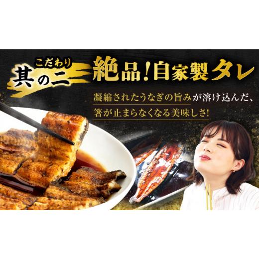ふるさと納税 ウナギ 佐賀県 嬉野市  6回定期便 手焼き 炭火焼き ウナギ 蒲焼 (2尾・タレ付き添い人) 中野鮮魚店 NAI008 ウナギ 鰻 鰻 炭火 蒲焼き かばやき 九…