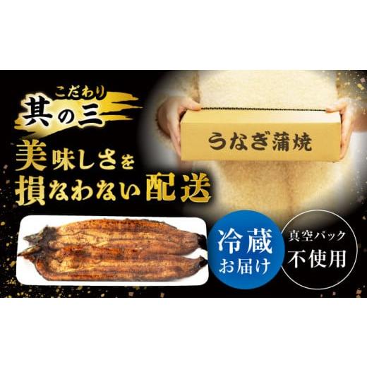 ふるさと納税 ウナギ 佐賀県 嬉野市  6回定期便 手焼き 炭火焼き ウナギ 蒲焼 (2尾・タレ付き添い人) 中野鮮魚店 NAI008 ウナギ 鰻 鰻 炭火 蒲焼き かばやき 九…