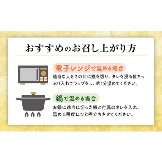 ふるさと納税 ウナギ 佐賀県 嬉野市  6回定期便 手焼き 炭火焼き ウナギ 蒲焼 (2尾・タレ付き添い人) 中野鮮魚店 NAI008 ウナギ 鰻 鰻 炭火 蒲焼き かばやき 九…