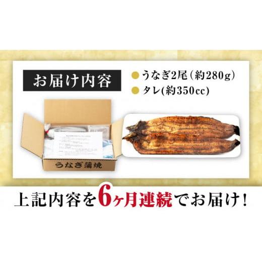 ふるさと納税 ウナギ 佐賀県 嬉野市  6回定期便 手焼き 炭火焼き ウナギ 蒲焼 (2尾・タレ付き添い人) 中野鮮魚店 NAI008 ウナギ 鰻 鰻 炭火 蒲焼き かばやき 九…