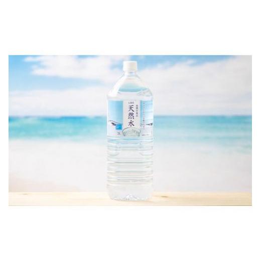 ふるさと納税 栃木県 足利市 【定期便６回】LDC自然の恵み天然水２L×12本　さわやかな飲み心地のやさしい軟水 