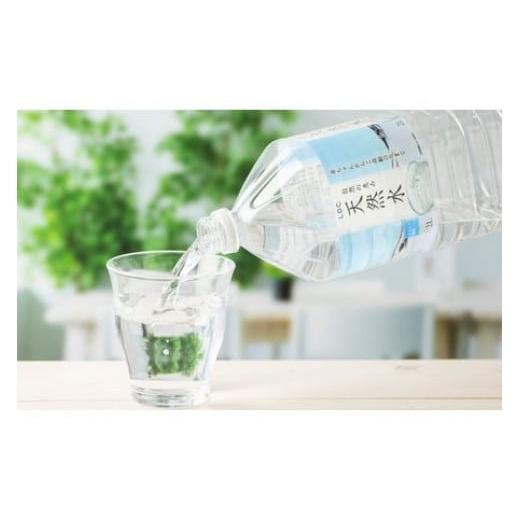 ふるさと納税 栃木県 足利市 【定期便６回】LDC自然の恵み天然水２L×12本　さわやかな飲み心地のやさしい軟水 