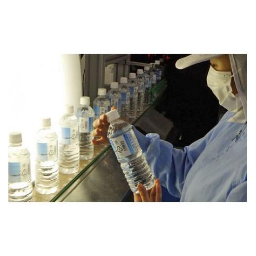 ふるさと納税 栃木県 足利市 【定期便６回】LDC自然の恵み天然水２L×12本　さわやかな飲み心地のやさしい軟水 