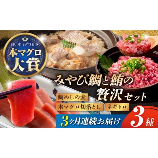 ふるさと納税 長崎県 長崎市 [3回定期便] マグロ みやび鮪 切り落とし ・ たたき 600g + 鯛めしの素 2袋 / まぐろ 鮪 ネギトロ 刺身 海鮮丼 鯛めし みやび…