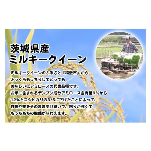 ふるさと納税 米 ミルキークイーン 茨城県 稲敷市  定期便／3ヶ月 令和7年産 ミルキークイーン 白米 計30kg (5kg×2袋×3ヶ月) 茨城県産 ふっくらもっちり｜お…の画像