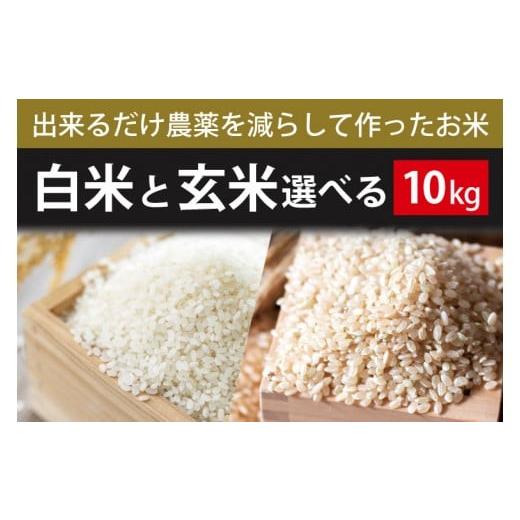 ふるさと納税 米 コシヒカリ 茨城県 行方市  2026年9月下旬より順次発送 できるだけ農薬を減らして作ったお米 令和8年産こしひかり 10kg(白米または玄米)｜米 …の画像