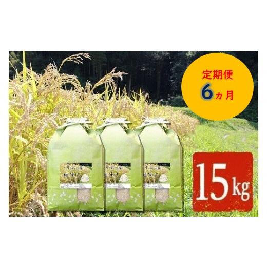 ふるさと納税 千葉県 君津市 【令和5年産】【定期便・6ヶ月】【新品種】千葉・粒すけ（精米）15kg 大つぶ 千葉県のブランド米     商品情報    容量【定期便】千葉・粒すけ ５kg×3袋6ヶ月　毎月お届け発送期日決済から14日前後で１回目を発送します。※長期不在のご予定があれば備考欄にご記入ください。尚、長