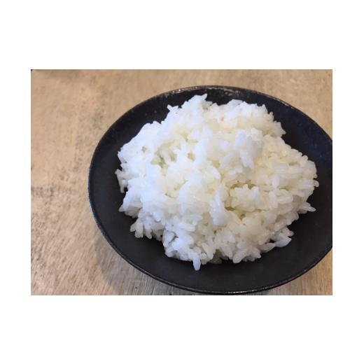 ふるさと納税 千葉県 君津市 【令和5年産】【定期便・6ヶ月】【新品種】千葉・粒すけ（精米）15kg 大つぶ 千葉県のブランド米     商品情報    容量【定期便】千葉・粒すけ ５kg×3袋6ヶ月　毎月お届け発送期日決済から14日前後で１回目を発送します。※長期不在のご予定があれば備考欄にご記入ください。尚、長