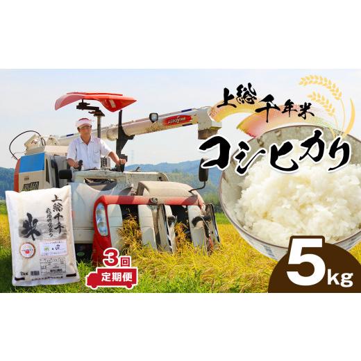 ふるさと納税 米 コシヒカリ 千葉県 君津市 定期便 ・ 3ヶ月 上総千年米 コシヒカリ (精米)5kg | 米 こめ お米 おこめ 白米 精米 プレミアムなお米 千葉 こ…