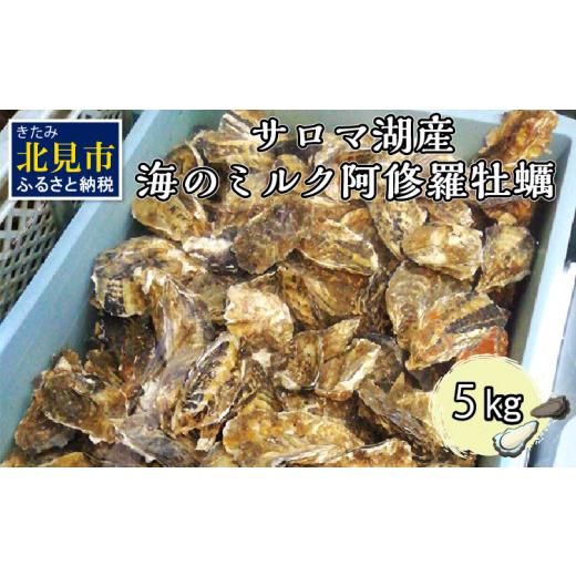 ふるさと納税 牡蠣 生牡蠣 北海道 北見市  予約：2026年10月中旬から順次発送 サロマ湖産 海のミルク 阿修羅牡蠣 5kg ( 魚介類 海鮮 魚介 牡蠣 かき カキ 海の…_1