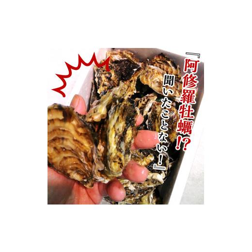 ふるさと納税 牡蠣 生牡蠣 北海道 北見市  予約：2026年10月中旬から順次発送 サロマ湖産 海のミルク 阿修羅牡蠣 5kg ( 魚介類 海鮮 魚介 牡蠣 かき カキ 海の…_2