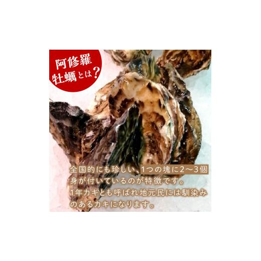 ふるさと納税 牡蠣 生牡蠣 北海道 北見市  予約：2026年10月中旬から順次発送 サロマ湖産 海のミルク 阿修羅牡蠣 5kg ( 魚介類 海鮮 魚介 牡蠣 かき カキ 海の…_3