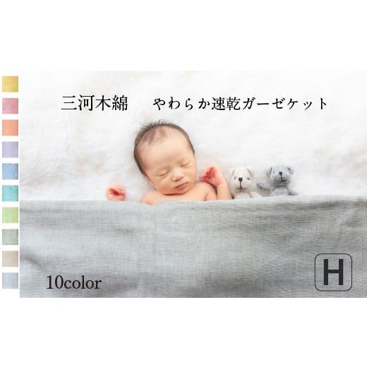ふるさと納税 タオル・寝具 タオルケット 愛知県 蒲郡市 G0303 5重織り やわらか速乾ガーゼケット ハーフサイズ:配送情報備考 わかくさ(濃緑) わかくさ…