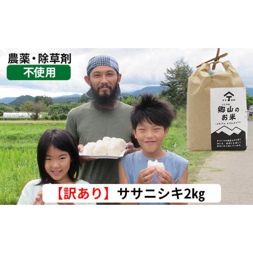 ふるさと納税 秋田県 にかほ市 訳あり!2kg×1袋 農薬不使用のササニシキ(玄米)