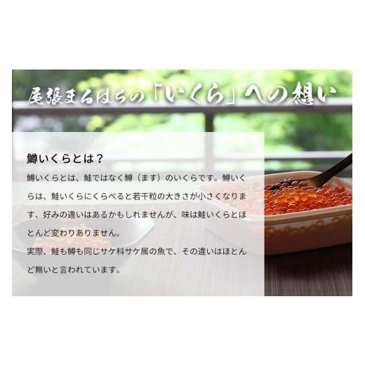 ふるさと納税 いくら 愛知県 名古屋市 いくら 醤油漬け(250g) 鱒の卵 冷凍 尾張まるはちの画像