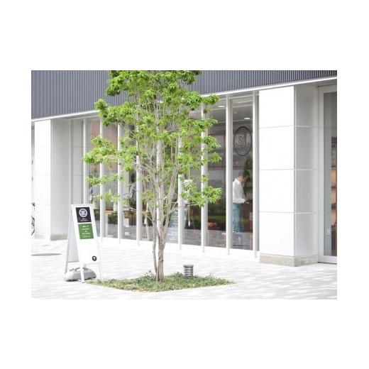 ふるさと納税 ファッション 靴 愛知県 名古屋市 足に合わせてお作りする本革製スニーカーの画像