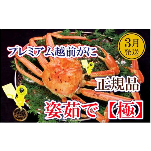 ふるさと納税 カニ ずわいガニ 福井県 越前町 越前がに本場の越前町からお届け 完全なる越前がに「極」 × 1杯 桐箱入り 越前がにの頂点 かに カニ 蟹 福井県 …